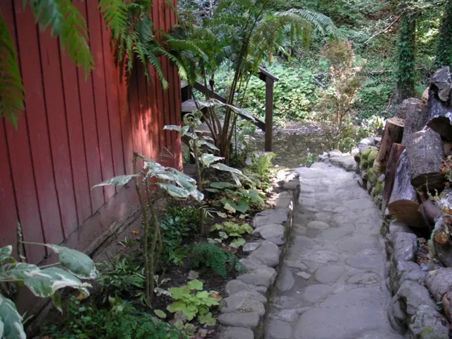 Path to Creek