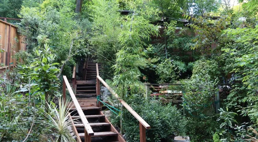 New Redwood Stairs