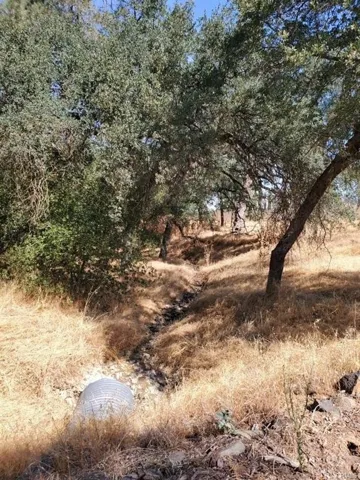 2418 El Toro Road, Catheys Valley, California 95306