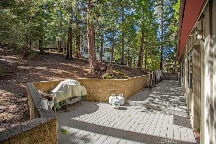 Your dining/living room adjacent patio for lounging and BBQing.  Check out those trees, they are all yours!