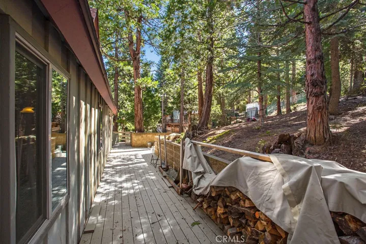 Your almost 20,000 square foot lot ends at that metal fencing.