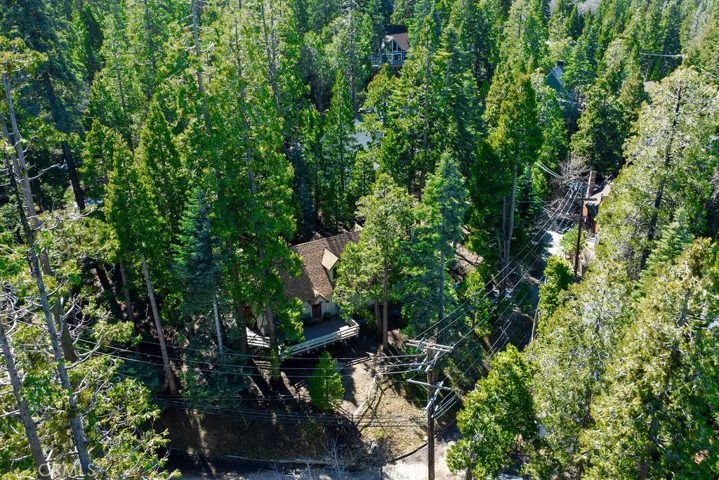 Your cabin in the woods