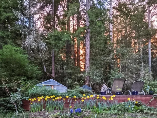 805 Fanning Grade, Ben Lomond, California 95005