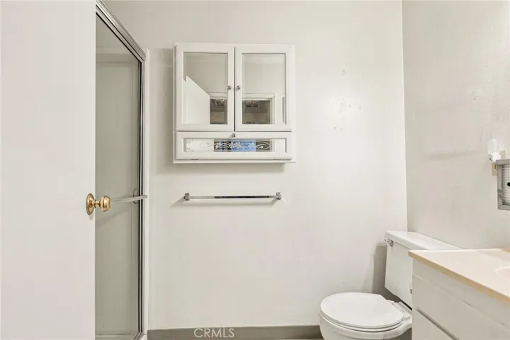Guest bath with large walk-in shower.