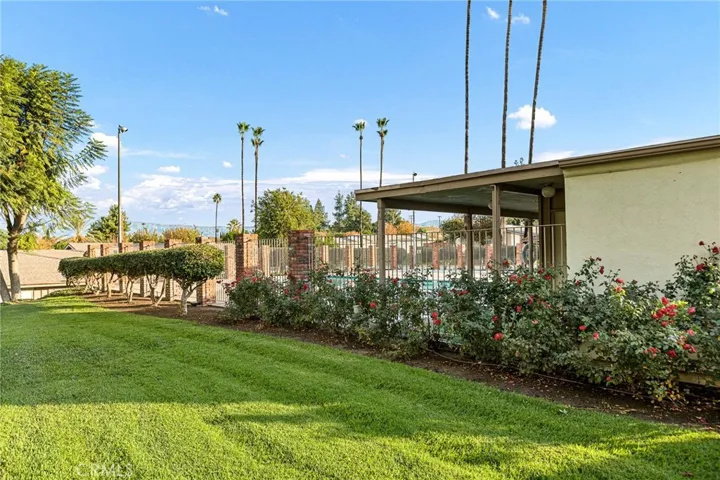 Association pool and grounds