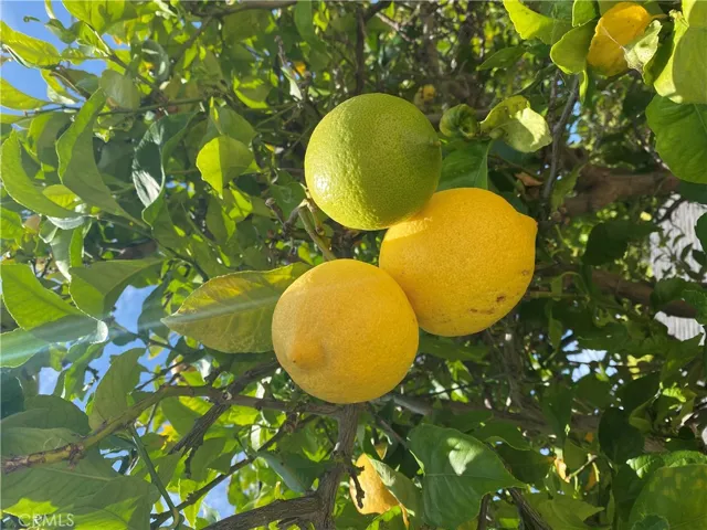 Lemons