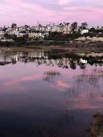 2738 Mackinnon Ranch Rd, Cardiff By The Sea, California 92007