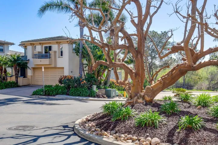2738 Mackinnon Ranch Rd, Cardiff By The Sea, California 92007