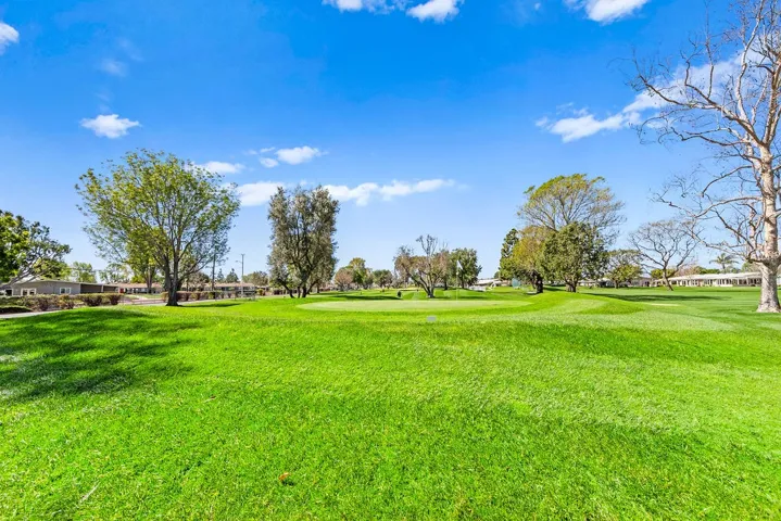 Golf Putting Green
