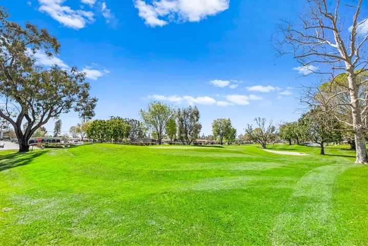Golf Putting Green