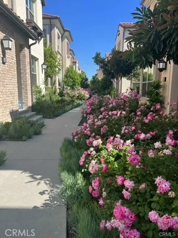 105 Sugarwood, Irvine, California 92618