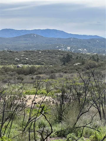 View of parcel.