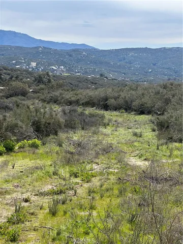 View of parcel.
