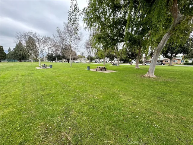 Picnic Tables