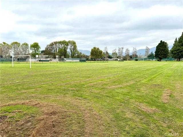 Soccer Field