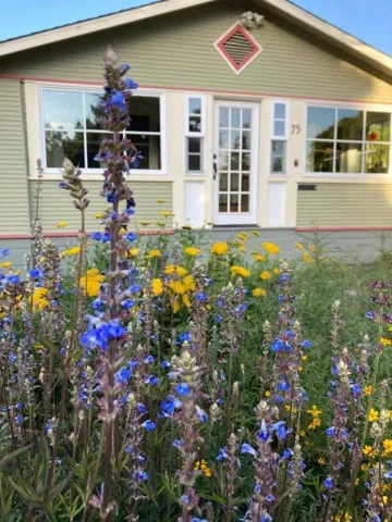 Springtime Photo