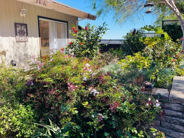 231 41st Avenue, San Mateo, California 94403