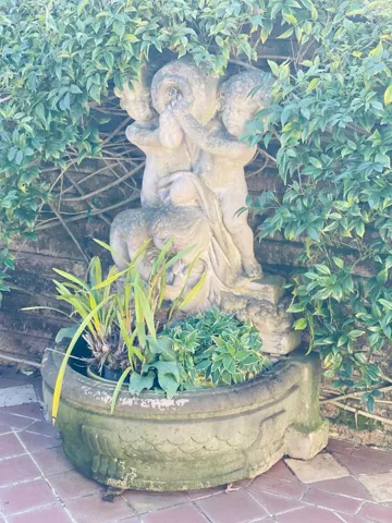 231 41st Avenue, San Mateo, California 94403