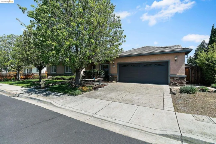 704 Sarah St, Brentwood, California 94513