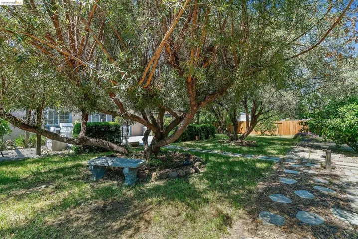 704 Sarah St, Brentwood, California 94513