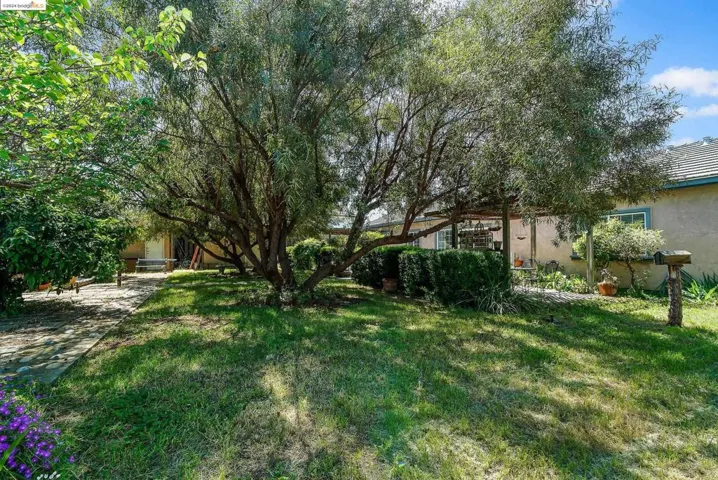 704 Sarah St, Brentwood, California 94513