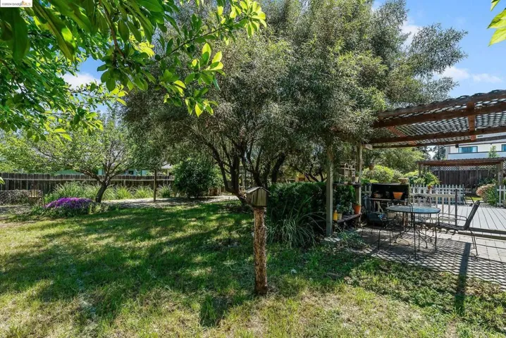704 Sarah St, Brentwood, California 94513