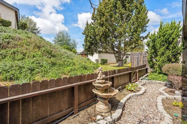 Backyard area