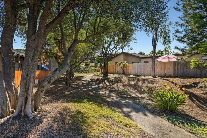 Walking Trail in Nob Hill