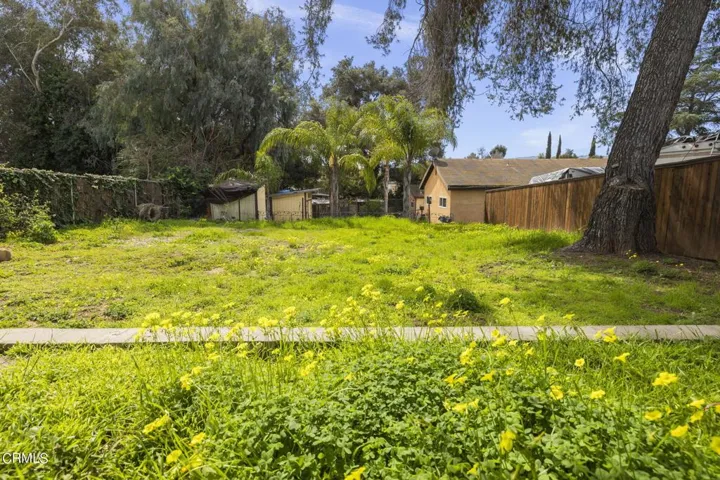 large backyard
