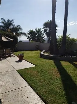 Grass backyard.