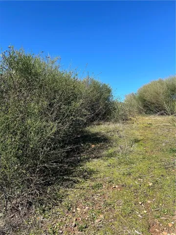 View looking up hill from 2nd pad