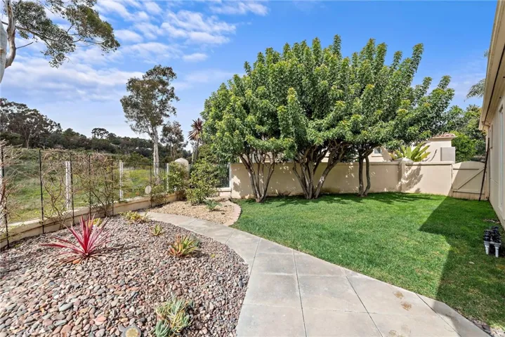 Side Yard Area