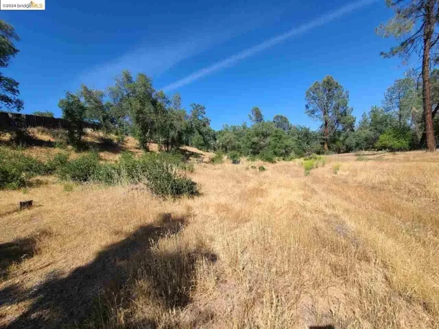 17703 Bright Path Anderson, Anderson, California 96007-8604