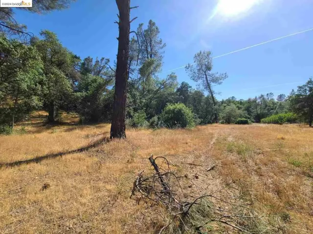 17703 Bright Path Anderson, Anderson, California 96007-8604