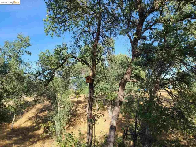 17703 Bright Path Anderson, Anderson, California 96007-8604