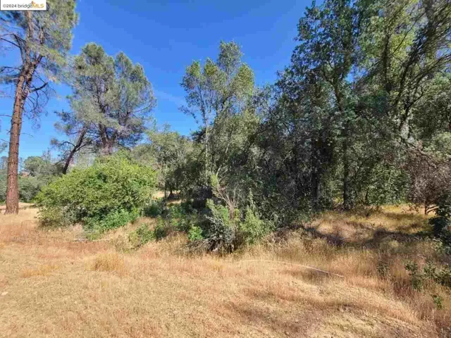 17703 Bright Path Anderson, Anderson, California 96007-8604