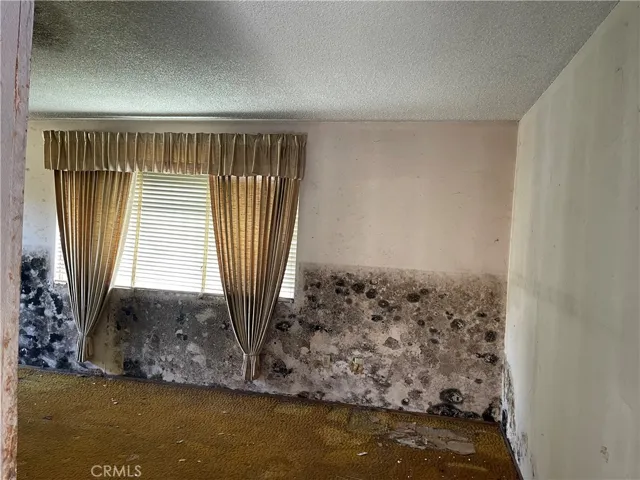 532 W 51st Street, Los Angeles, California 90037