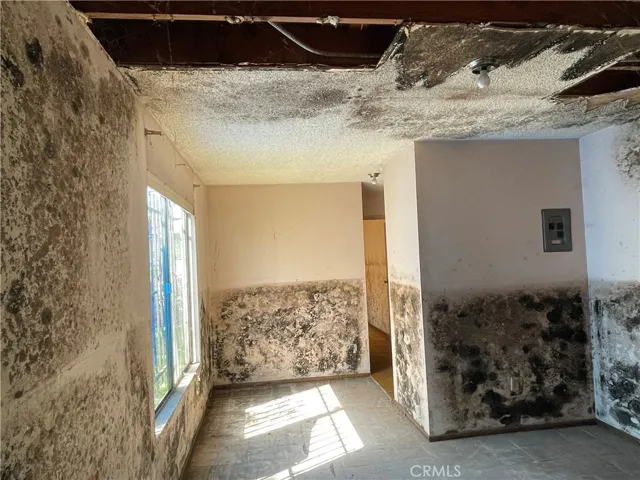532 W 51st Street, Los Angeles, California 90037