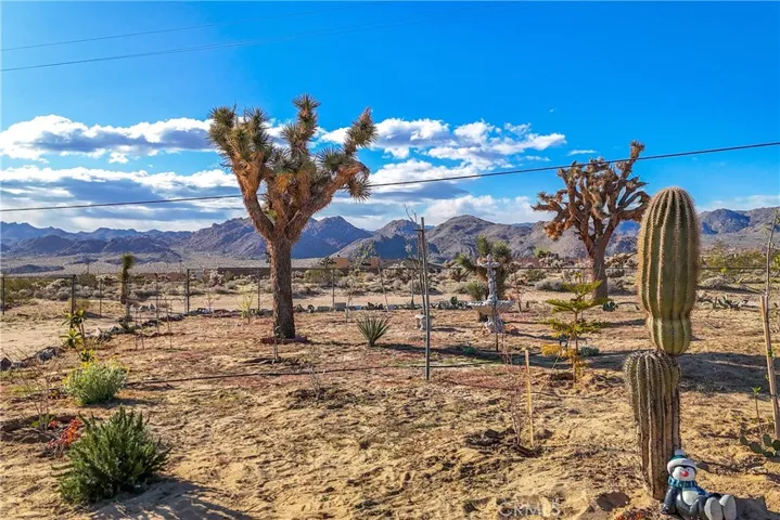 62322 Two Mile Road, Joshua Tree, California 92252