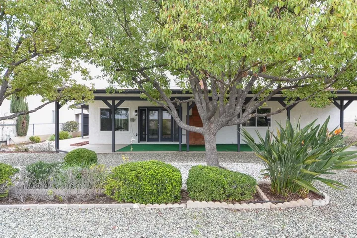 Backyard with mature landscape