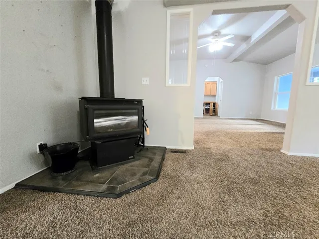 Wood Burning Stove