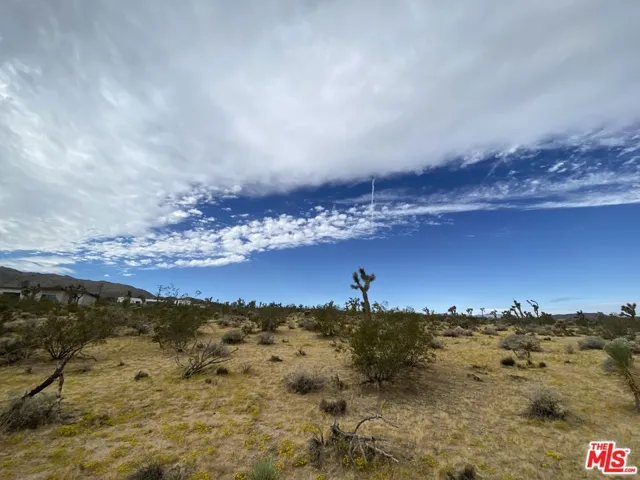0 Saddleback Road, Joshua Tree, California 92252
