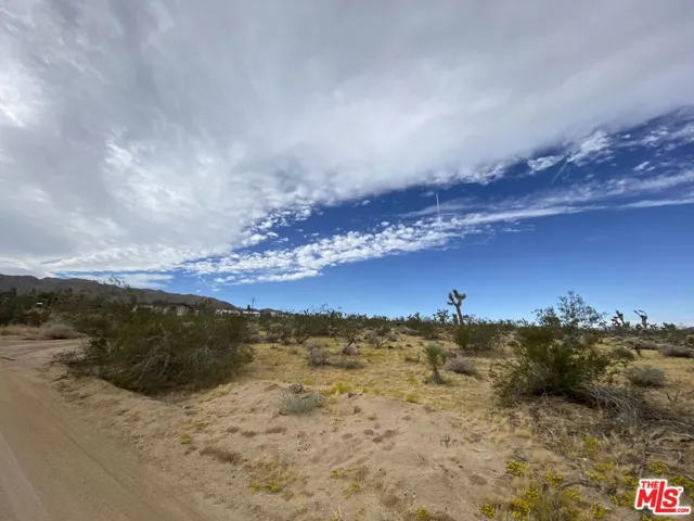 0 Saddleback Road, Joshua Tree, California 92252
