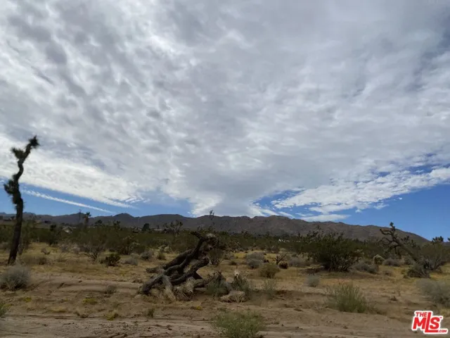 0 Saddleback Road, Joshua Tree, California 92252