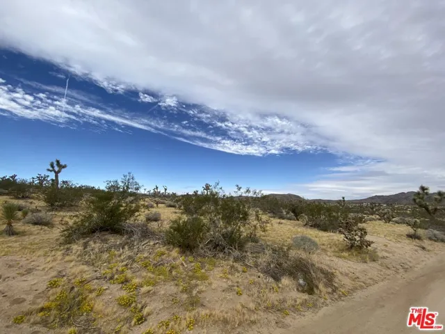 0 Saddleback Road, Joshua Tree, California 92252