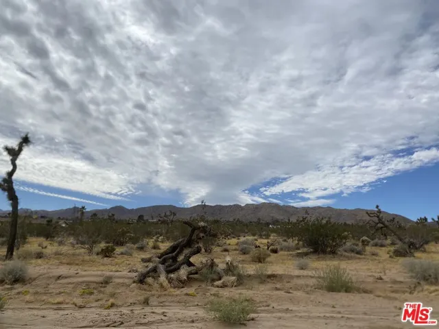 0 Saddleback Road, Joshua Tree, California 92252