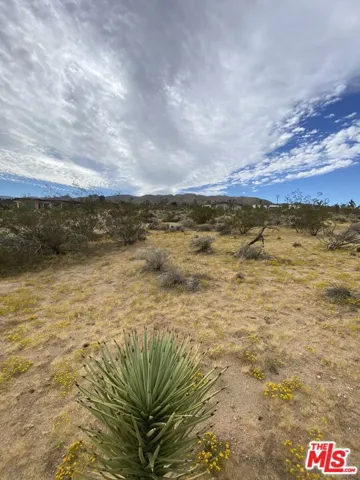 0 Saddleback Road, Joshua Tree, California 92252
