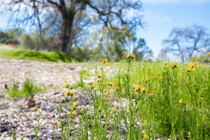 3831 Broncho Hollow Lane, Mariposa, California 95338