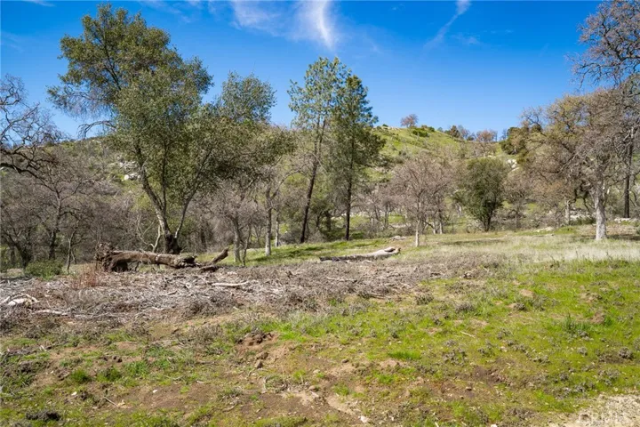 3831 Broncho Hollow Lane, Mariposa, California 95338
