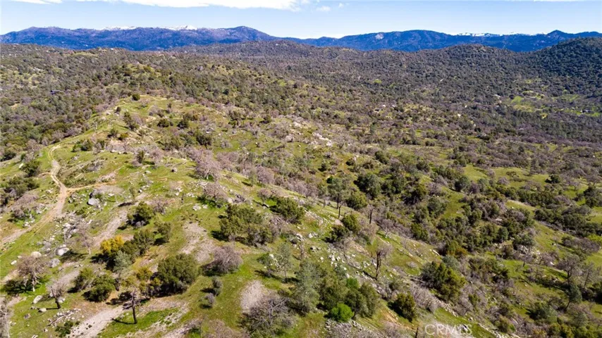 3831 Broncho Hollow Lane, Mariposa, California 95338